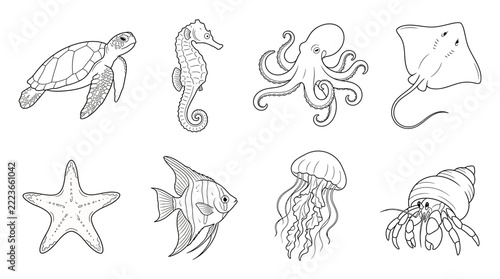Sea Creature Collection with Turtle, Seahorse, Octopus and Marine Animals Line Art