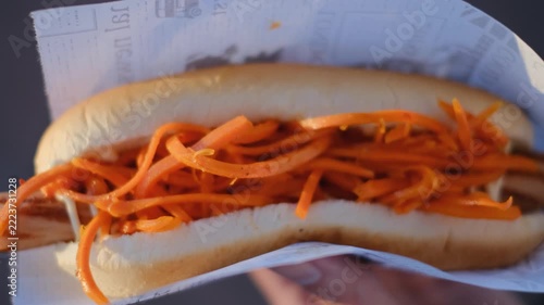 Macro shot of a delicious hot dog with spicy grated carrot on top