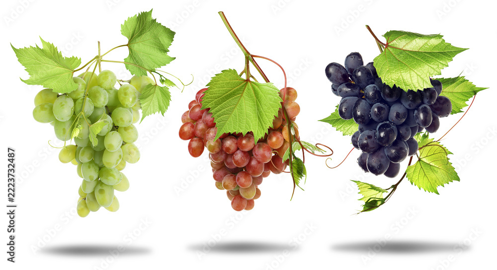 Fototapeta premium Red, green and black grape clusters against transparent background, set