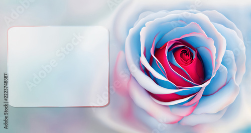 Beautiful greeting card background featuring blue and red roses and a frame for text. An abstract, creative, and standalone floral card design. Greeting postcard.