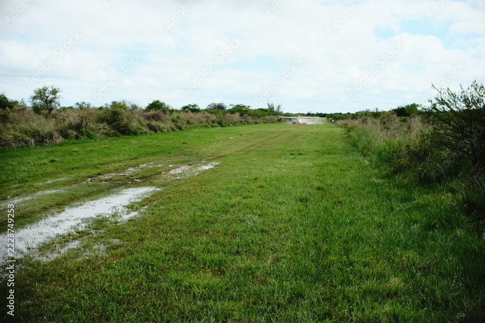 Naklejka premium Grass Track Running Through Open Fields