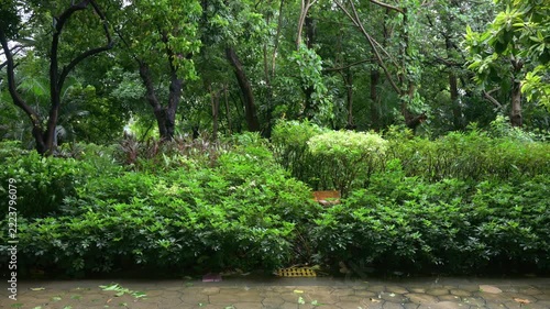 Dense green garden shrubs and trees swaying in strong wind video with sound