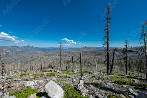 Wildfire Damage in Lassen Volcanic National Park, CA