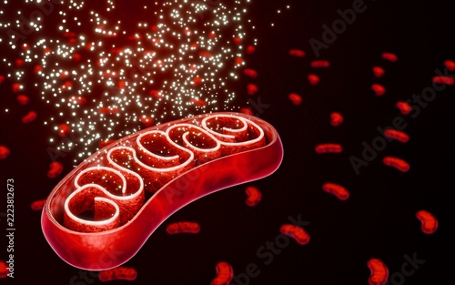 Cellular energy production in mitochondria converting fat molecules and oxygen into ATP through metabolic pathways supporting endurance vitality, and energy supply human cells and tissues. 3D Render