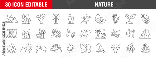 Collection of nature icons. Animals, plants, ecosystems, landscapes. Vector template editable stroke EPS 10.