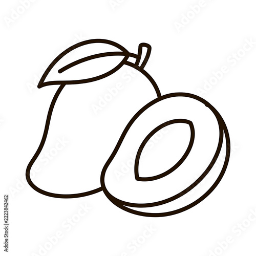 African Mango Fruit Black Outline Botanical Illustration