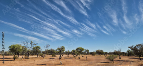 Winton, Queensland, Australian outback landscape with scattered trees