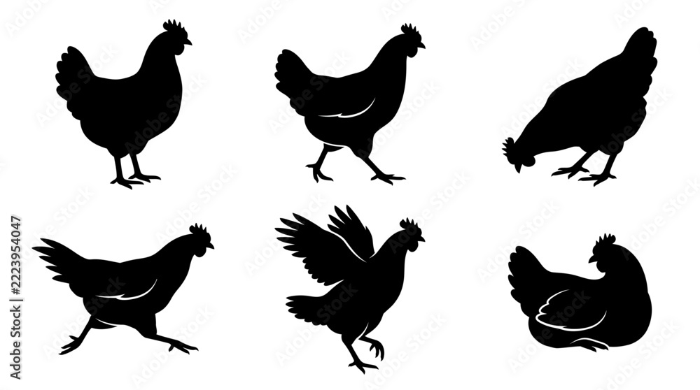 Fototapeta premium Various Chicken Silhouettes in Different Poses on White Background