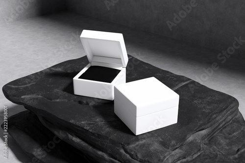 Realistic Ring Box Blank