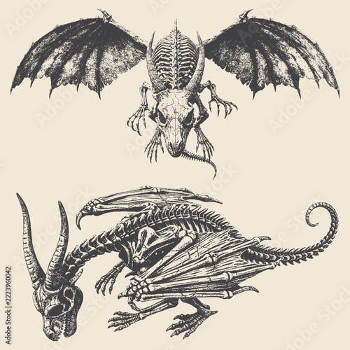 Intricate skeletal dragons with horns wings and tails.