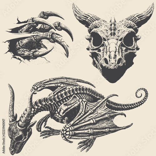 Intricate fantasy dragon skull and coiled beast illustration.