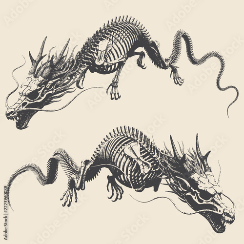 Intricate twin dragon skeleton ink illustration.