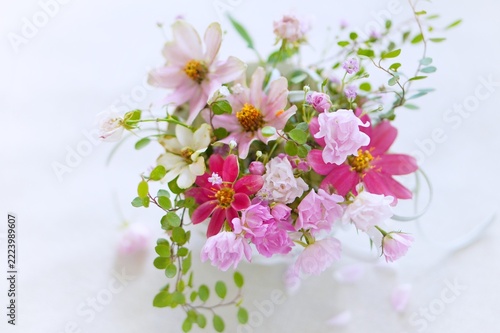 apple tree flowers