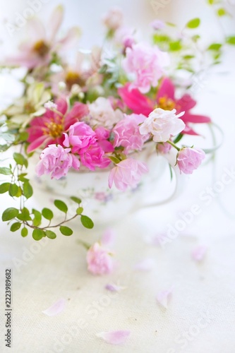 pink cherry blossom