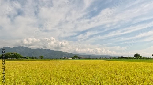 Car side window view of rice fields and village, Taiwan