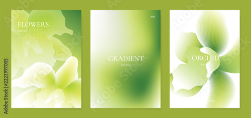 Orchid gradient poster background vector set. Minimalist poster summer and spring cover template. Ideal design for social media, banner, card, ads.