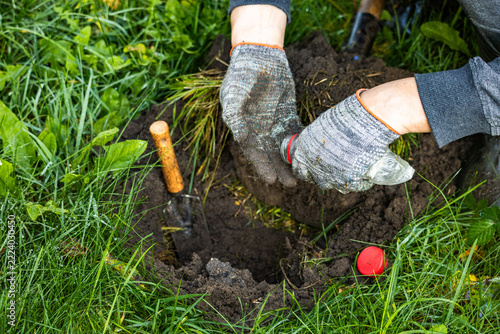 Person holding container near excavated mole burrow in green lawn