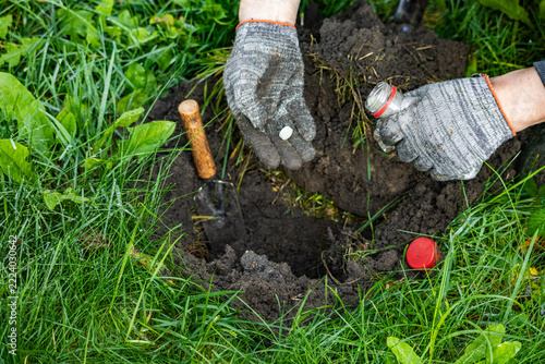 Gardener placing pest control repellent pill inside mole burrow entrance
