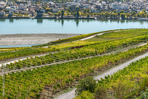 Blick auf Bingen und das Flussbett des Rheins im Rheingau vom Niederwalddenkmal aus, kurz nach der Dürre im Sommer 2026, mit einer langen Sandbank und Weinberg im Vordergrund