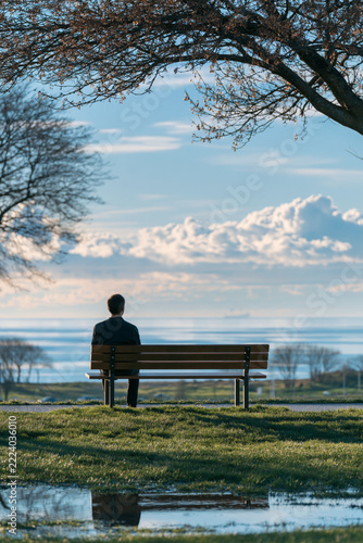 A man in a dark coat sits alone on a wooden park bench, looking out over a calm sea under a blue sky with white clouds, framed by overhanging tree branches.