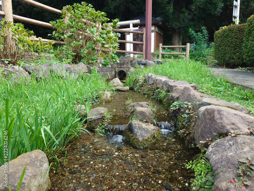 神奈川県の座間市で撮影した番神水湧水の用水路