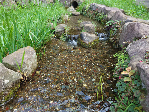神奈川県の座間市で撮影した番神水湧水の用水路