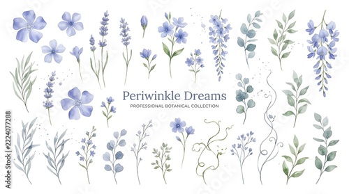 Watercolor Periwinkle and Lavender Botanical Illustration Set