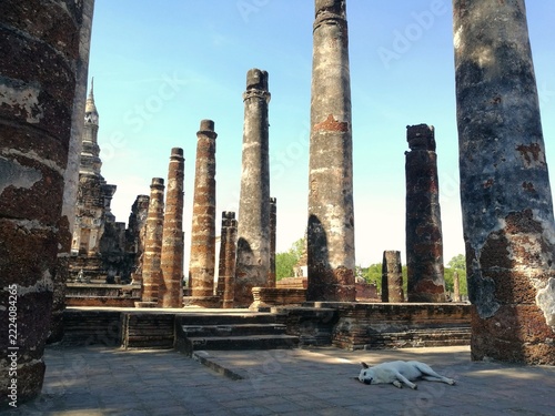 Obraz na plátně Ancient Temple Ruins at Sukhothai Historical Park, stray dog taking nap
