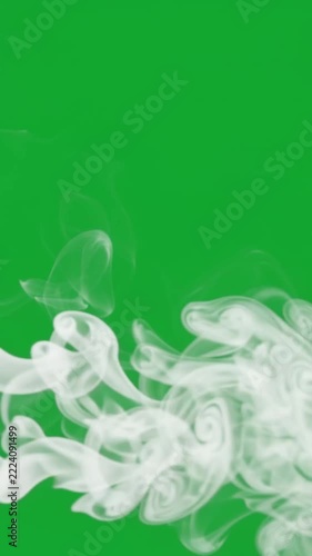 Dense White Smoke Rising and Billowing on Green Screen Chroma Key