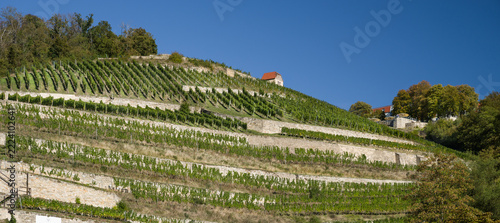 Panorama Weinberg Freyburg