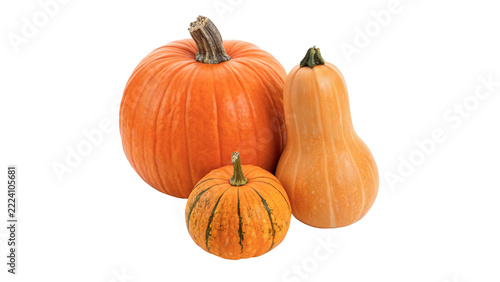 Group of different pumpkins and gourds autumn harvest holiday decorations, isolated on transparent background.
