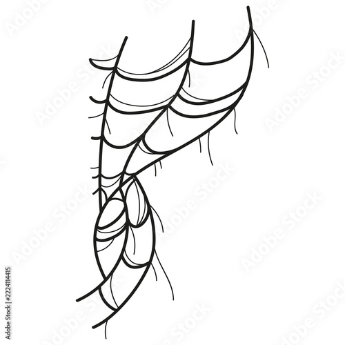 Stylized black spider web line drawing with asymmetrical curved strands. Minimalist geometric illustration perfect for Halloween themes