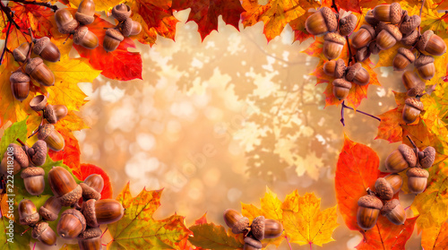 autumn leaves frame with acorn 