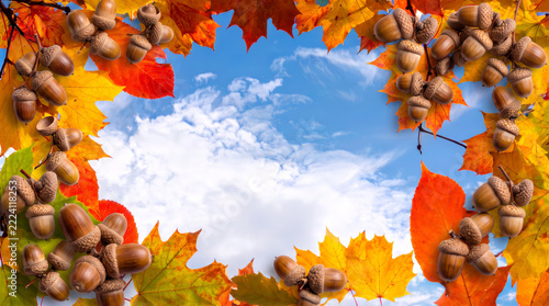 autumn leaves frame