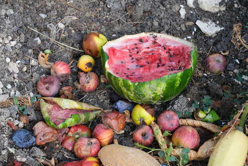 Domestic waste for compost from fruits and vegetables in garden.