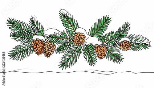 Elegant continuous line drawing of evergreen pine needles, winter leaves, and pine sprigs, clean minimalist botanical style.