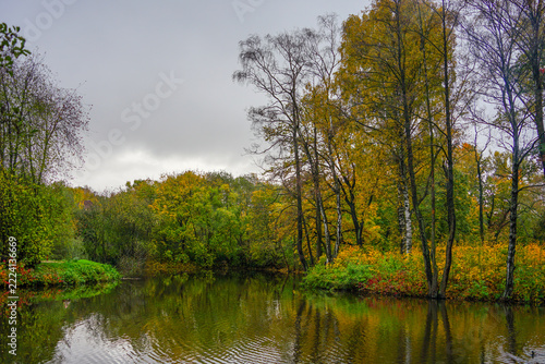 autumn in the park