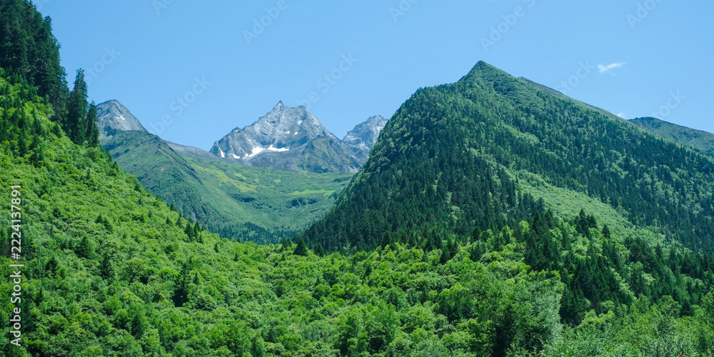 Fototapeta premium Landscape of the snow mountain range and pine trees forest in summer, Chengdu China