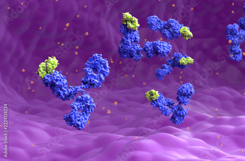 Monoclonal antibody (mAb) therapy - 3d illustration closeup view