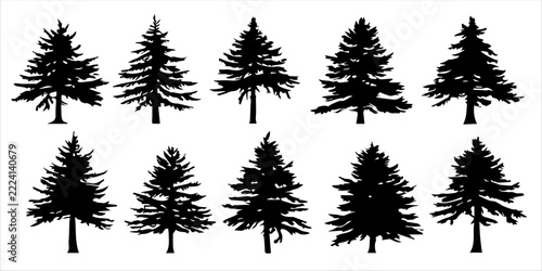 Multiple Pine and Spruce Tree Silhouettes, Black Conifer Forest Clipart Collection, Evergreen Woodland Illustration Set
