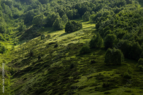 Misty Green Mountain Landscape in Gomecari Valley, Tusheti, Georgia