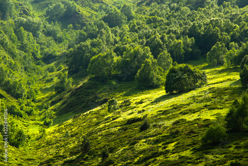 Misty Green Mountain Landscape in Gomecari Valley, Tusheti, Georgia