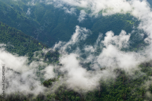 Misty Green Mountain Landscape in Gomecari Valley, Tusheti, Georgia