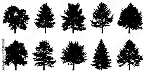 Mixed Pine and Spruce Tree Silhouette Set, Black Evergreen Forest Trees Collection, Winter Woodland Nature Clipart