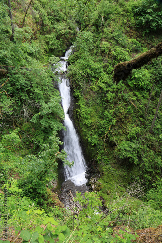 Green landscape with Starvation Creek Falls, Oregon