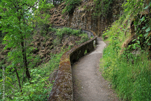 Path in state park - Oregon