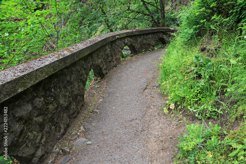 The trail and stone wall - Oregon