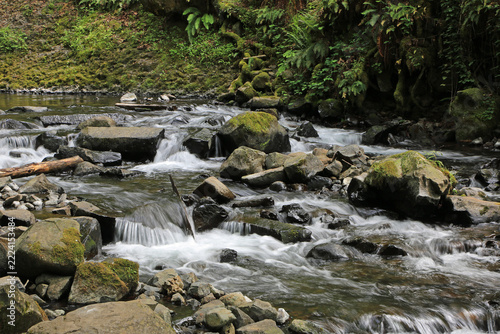 Bridal Veil Creek - Oregon