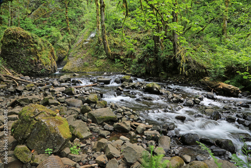 Rocky riverbed - Bridal Veil Creek - Oregon