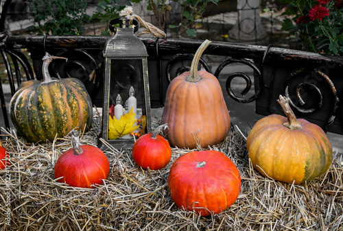 An autumn arrangement featuring decorative pumpkins of various sizes, laid out on straw bales